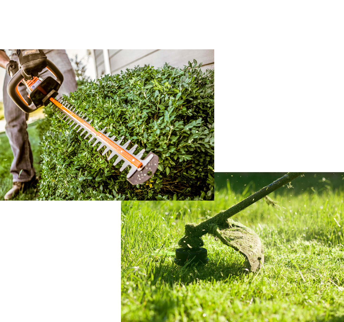 Lawn Care